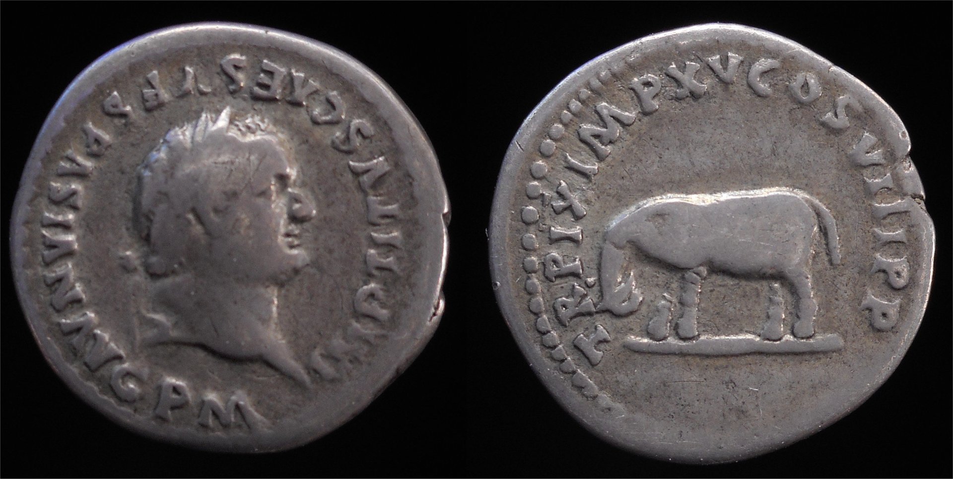 Titus AR Denarius Elephant RIC 115.jpg