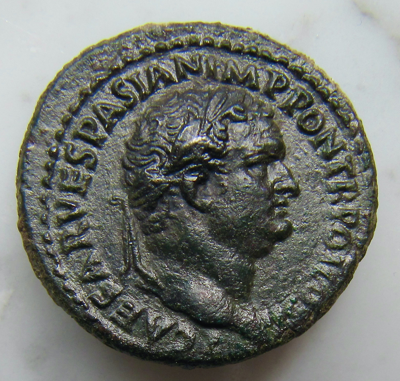 Titus As Victoria Navalis - OBV2 - Best larger! VGP - August 2 2021 - .jpeg