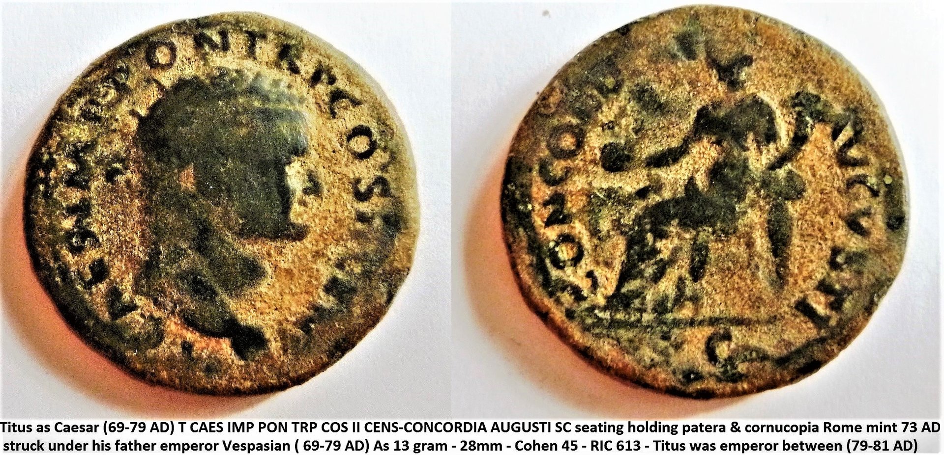 Titus Caesar Concordia (2).JPG