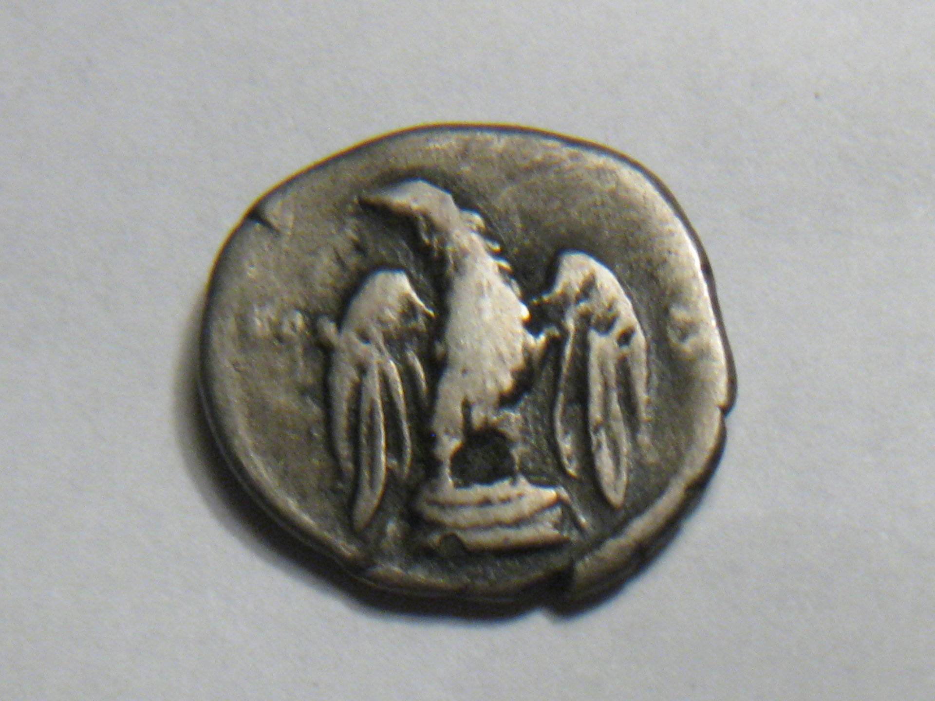 Titus Denarius 76 ad eagle reverse 003.JPG