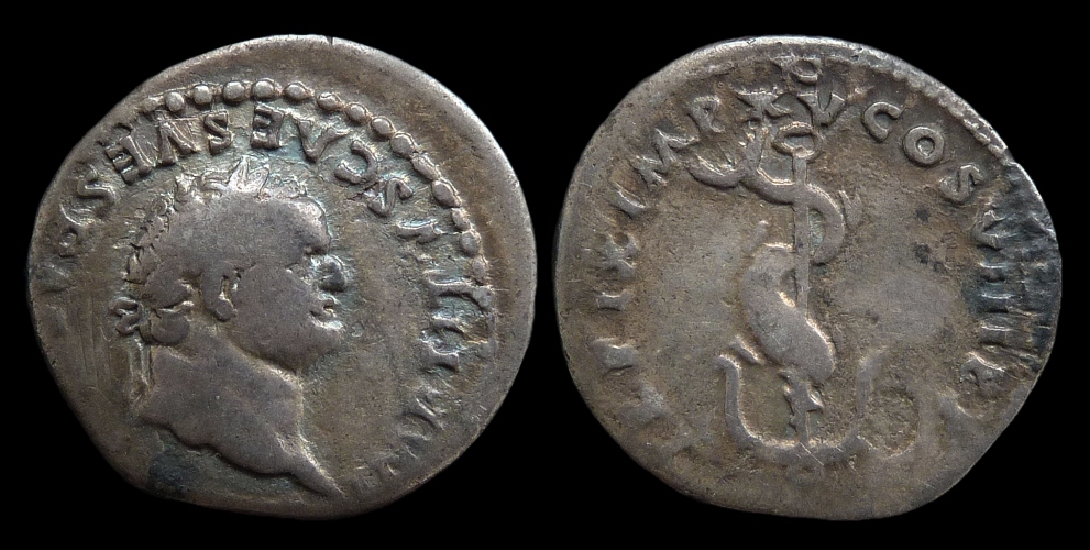 Titus - denarius Dolphin.jpg