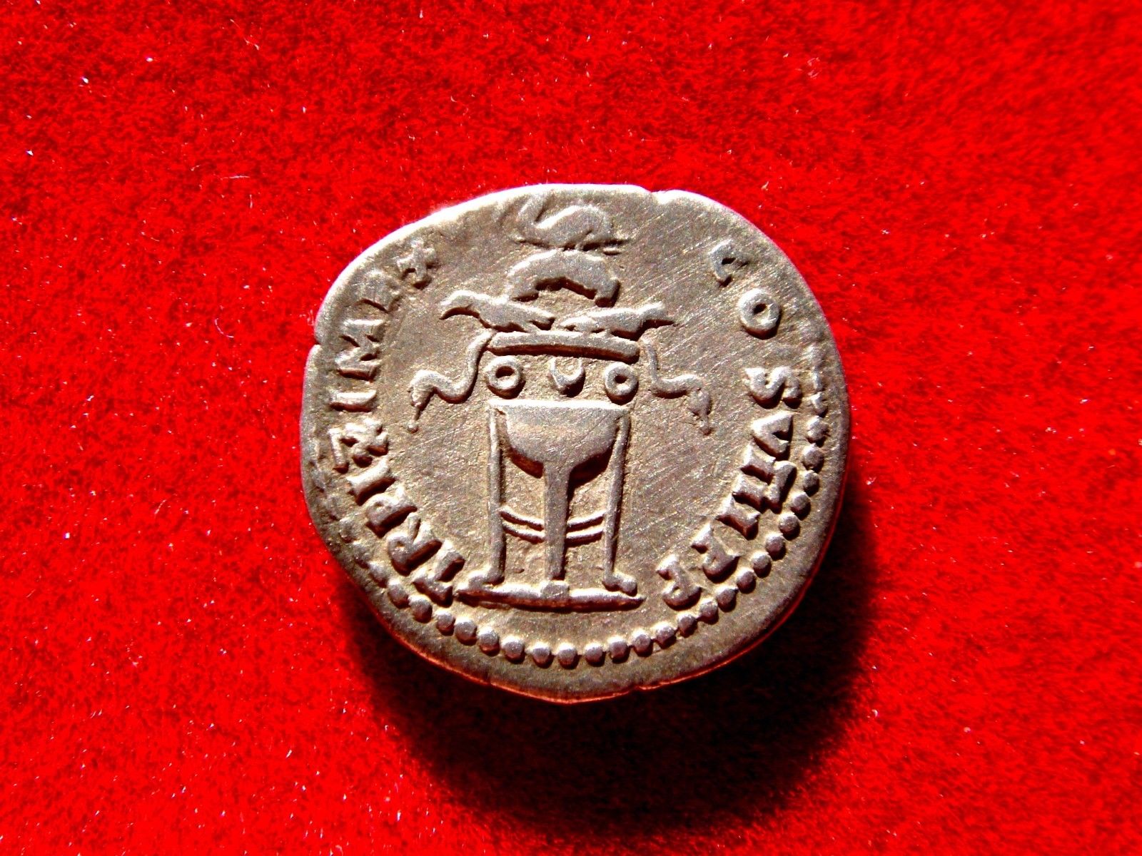 Titus Denarius Reverse.jpg
