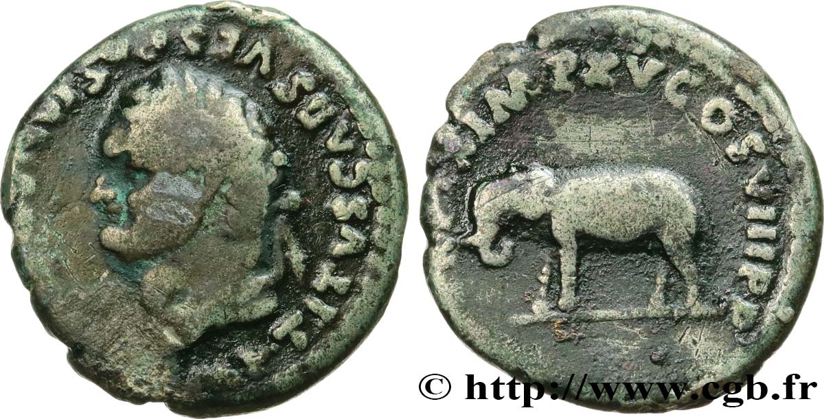 titus elephant.jpg