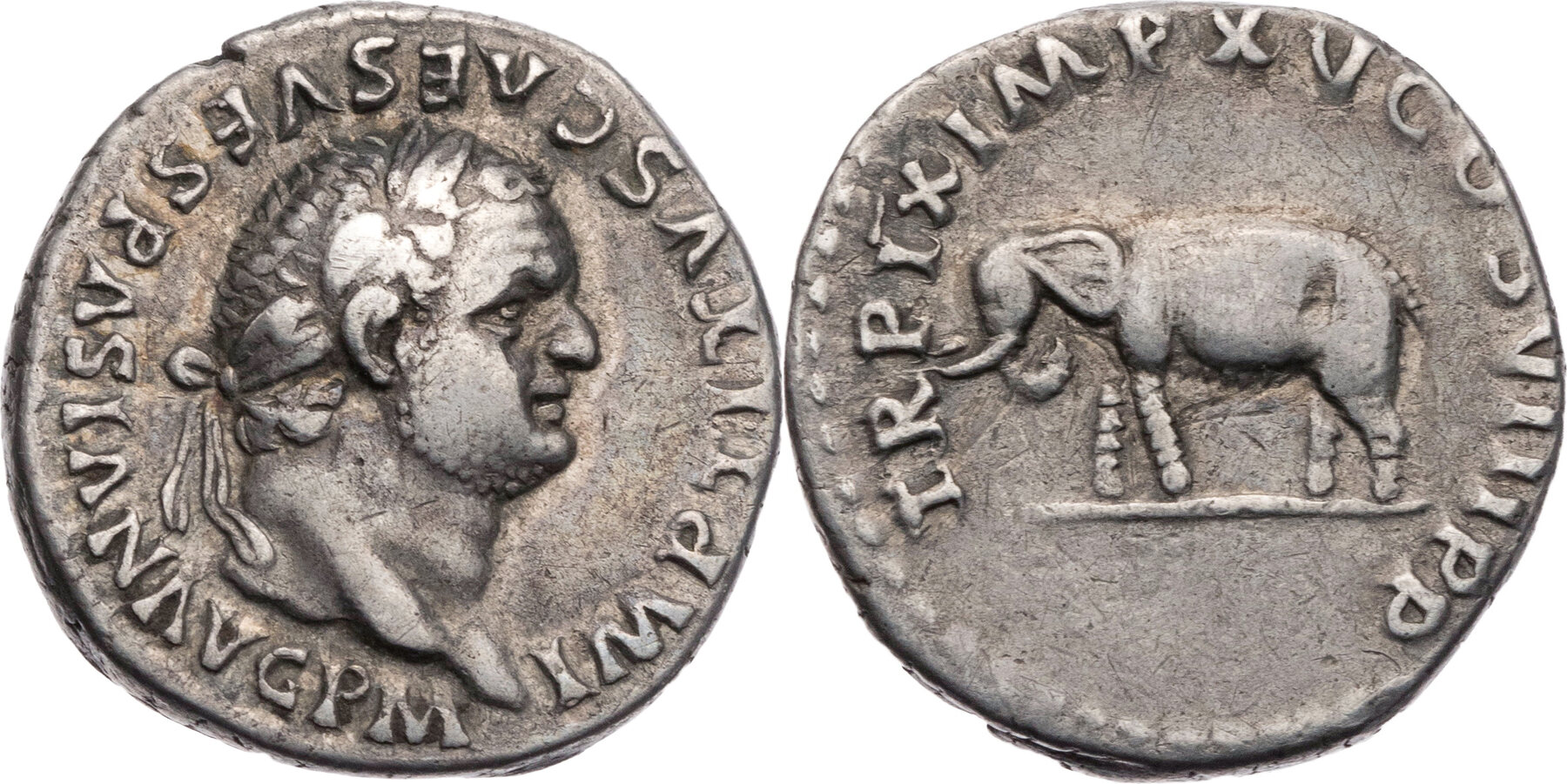 Titus - elephant reverse - jpg version.jpg