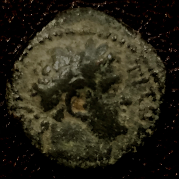 Titus Gadara Obverse.png