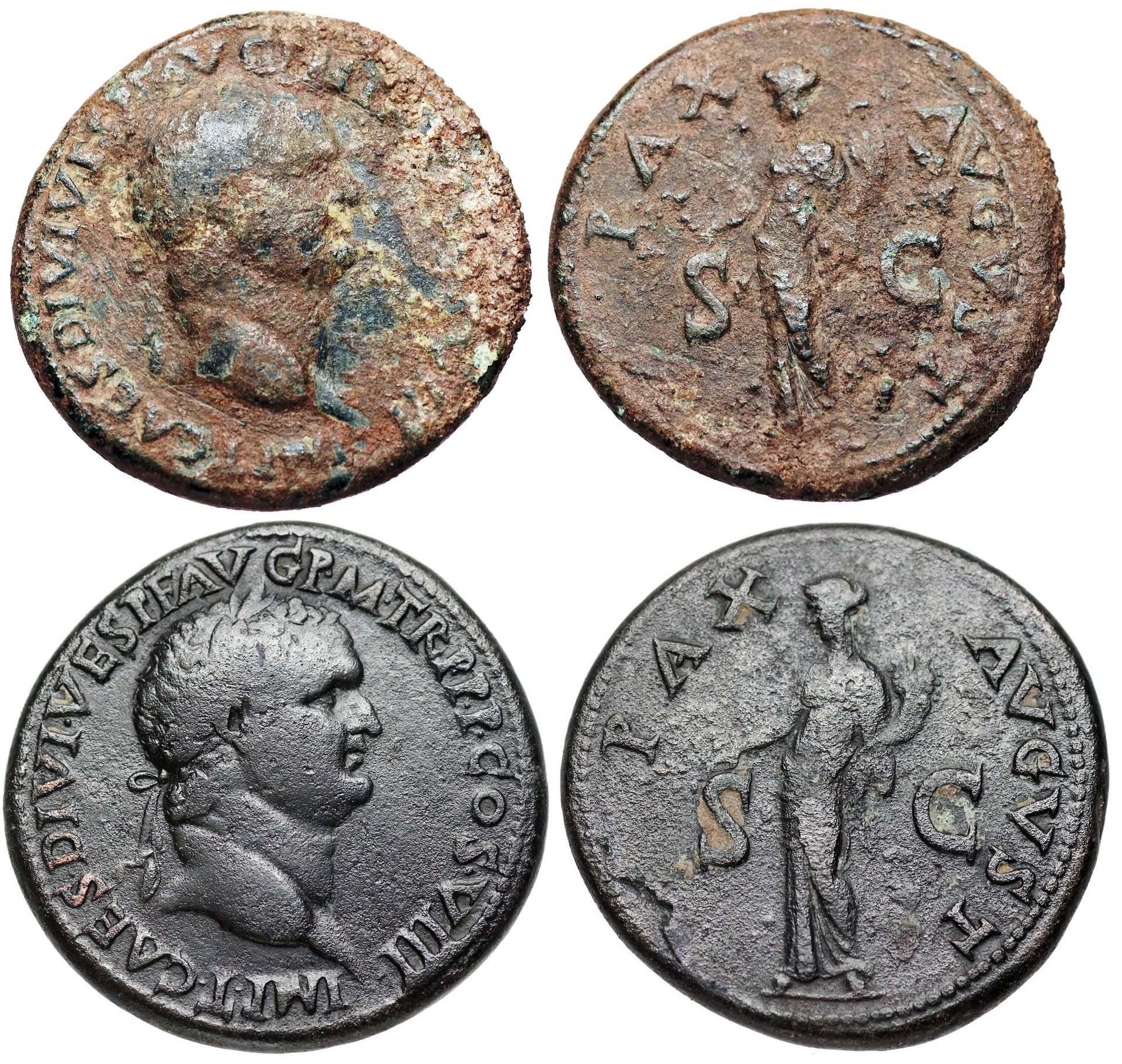 Titus.JPG