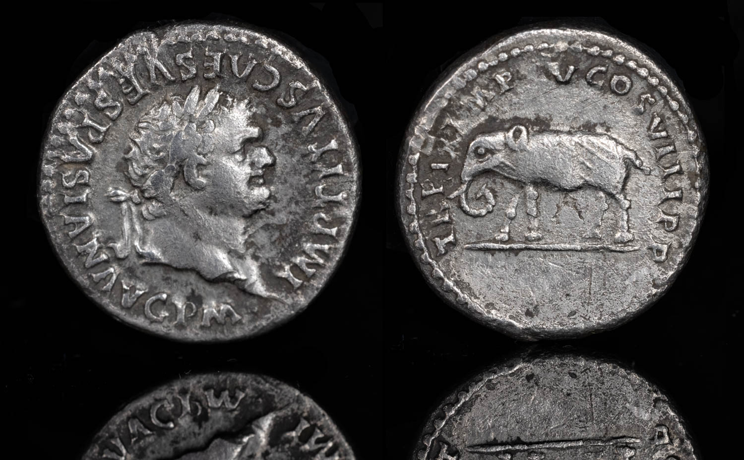 titus.jpg
