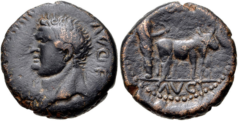 Titus.jpg