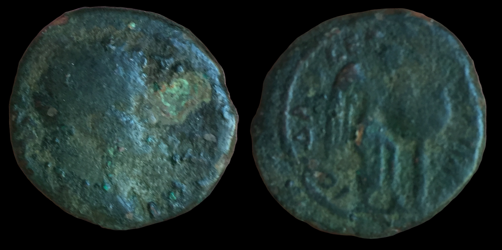 Titus Judea Capta Provincial.png