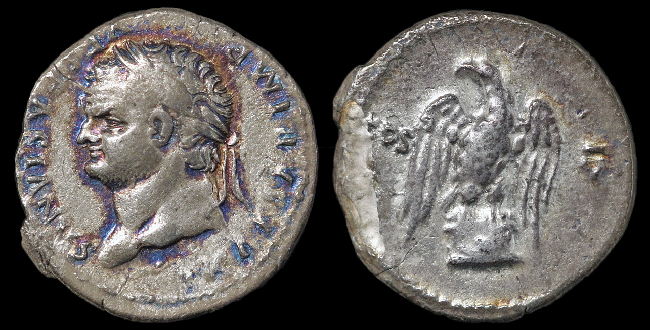Titus Left Eagle.jpg