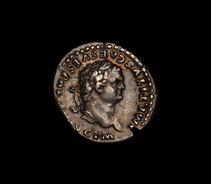 Titus obv.jpg