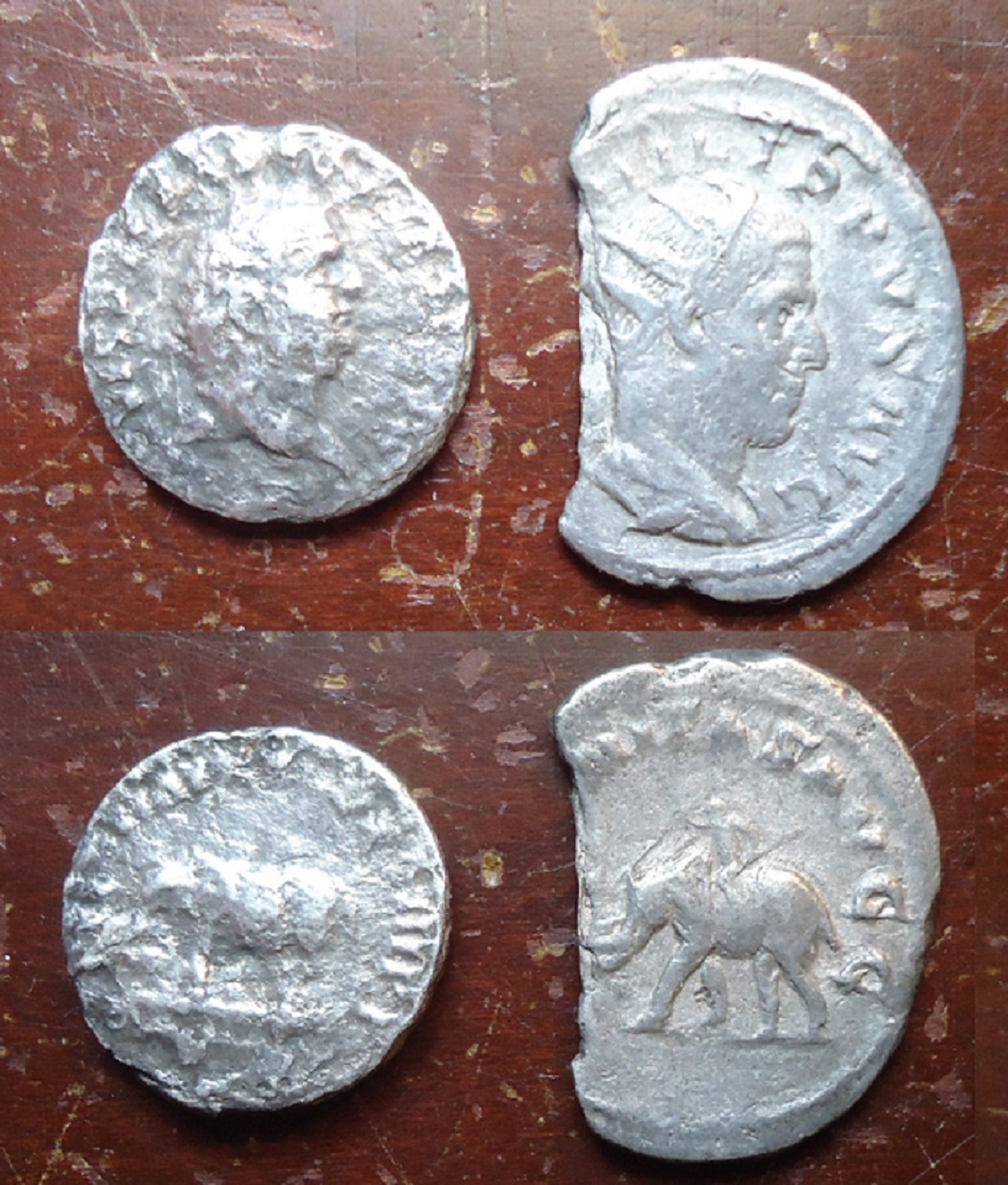 Titus Phil Elephants.jpg