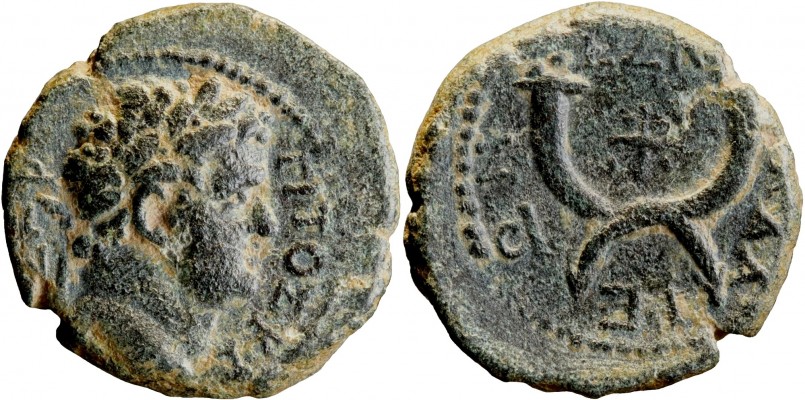 Titus_3.jpg