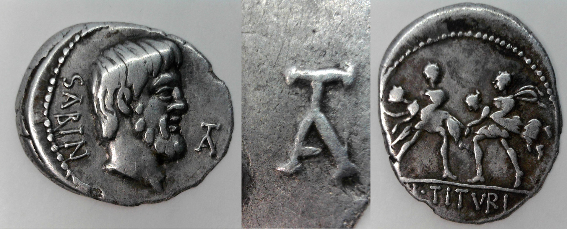 Tiuria1.jpg
