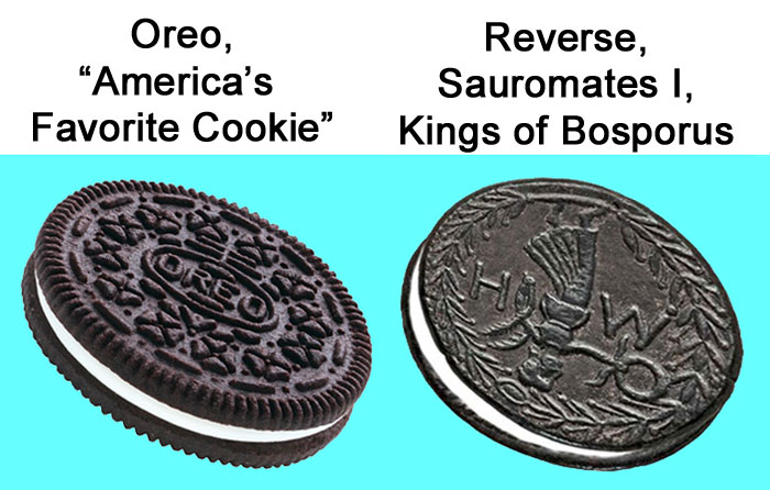 TLL-OreoSauromatesRev.jpg