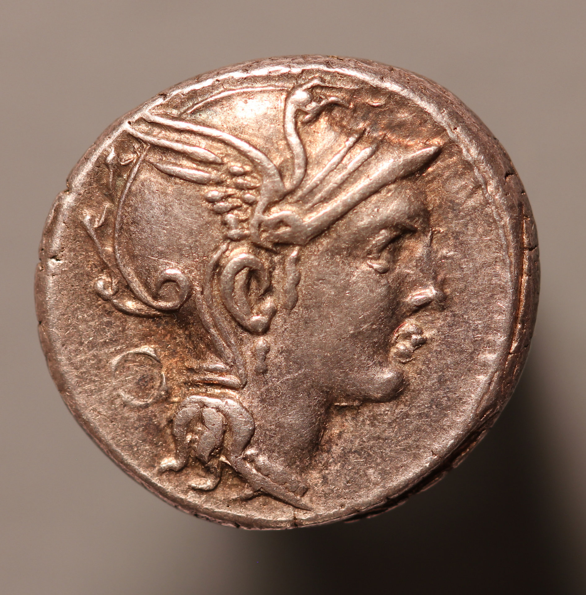 TManliusMancius110BcO.jpg