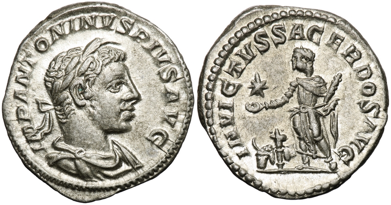 tn_Elagabalus__AR-Horned-Denarius .JPG