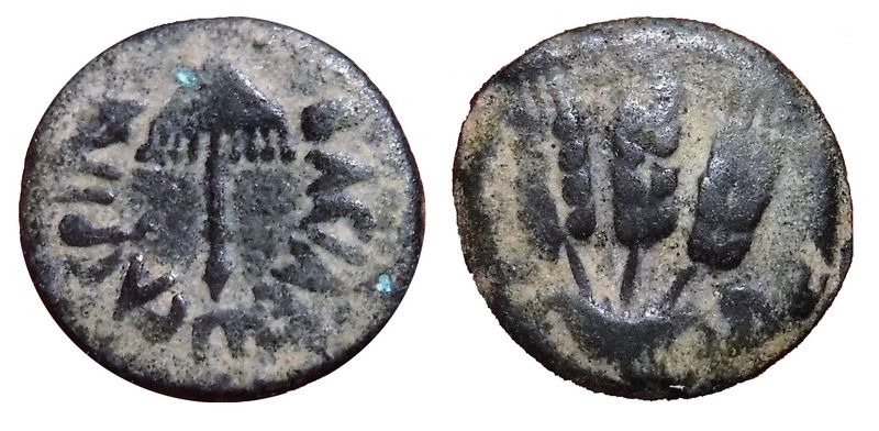 tn_Hendin1244.jpg