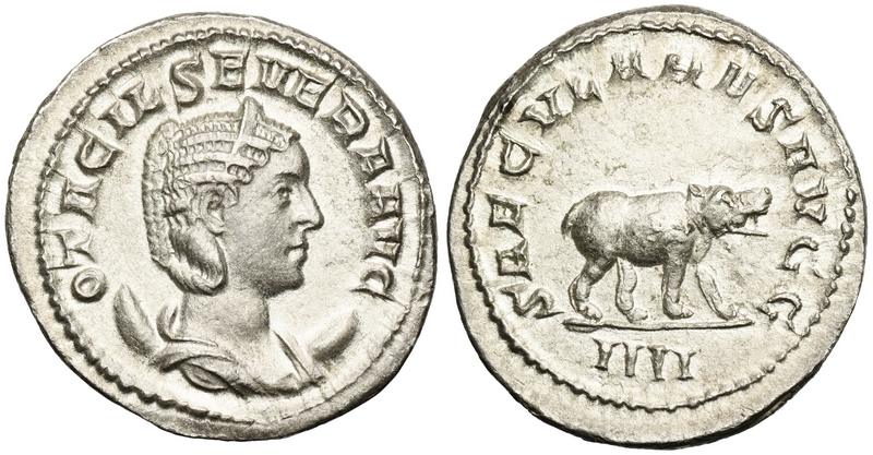 tn_Otacilia-Severa__Hippo.JPG
