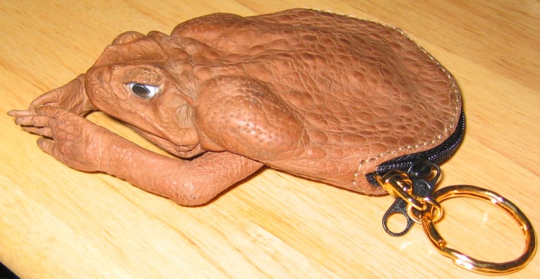 toad.jpg