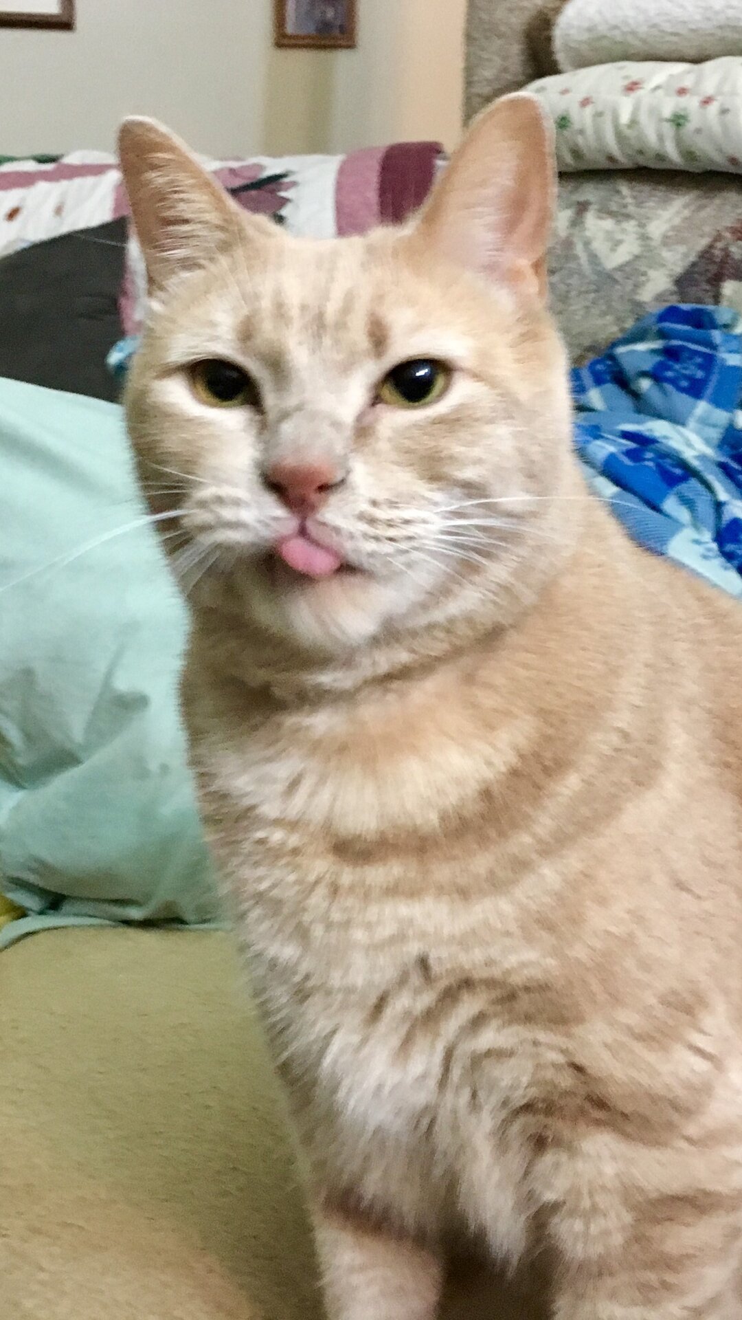Toby Toberson.jpg