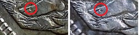 toes.jpg