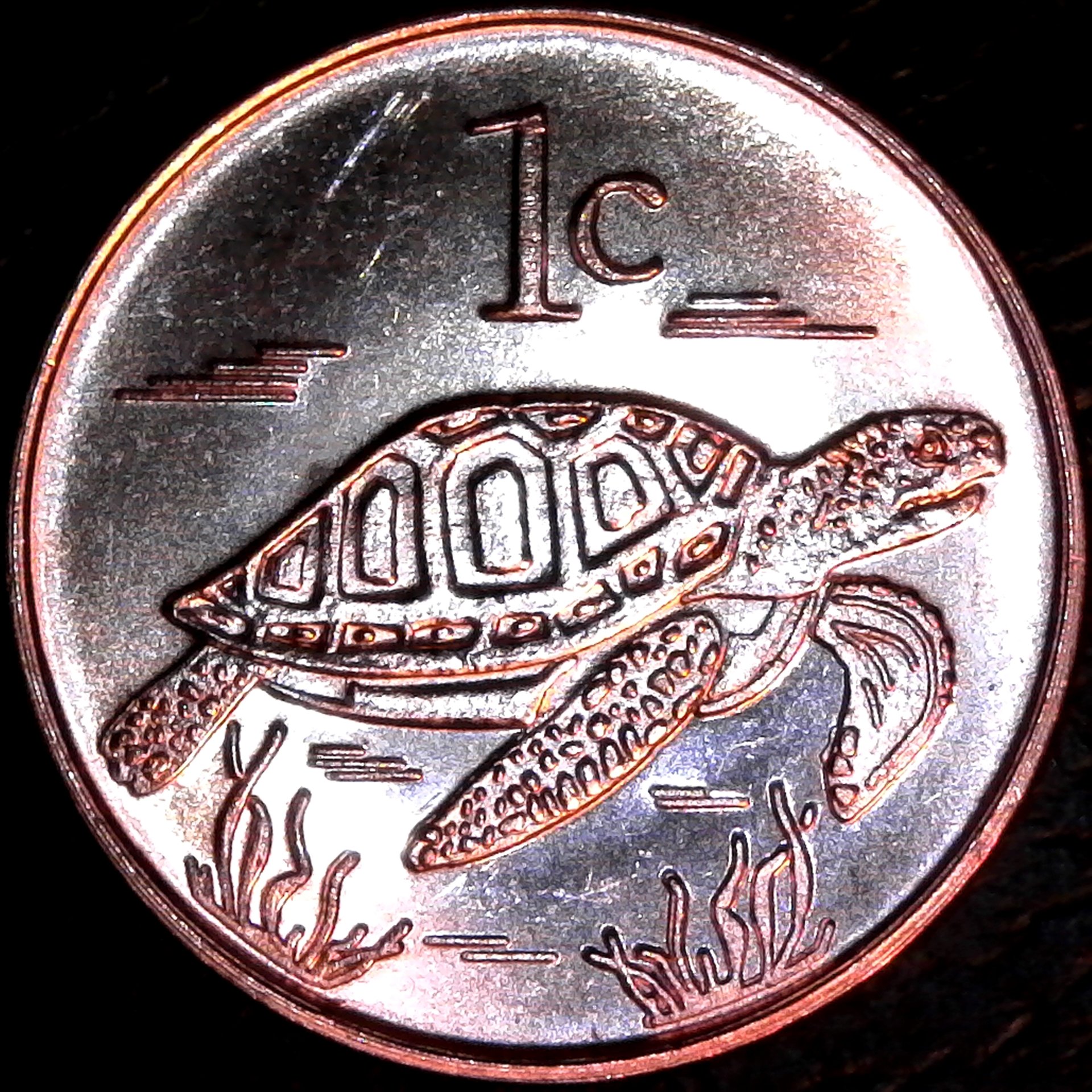 Tokelau 1 Cent 2017 rev.jpg
