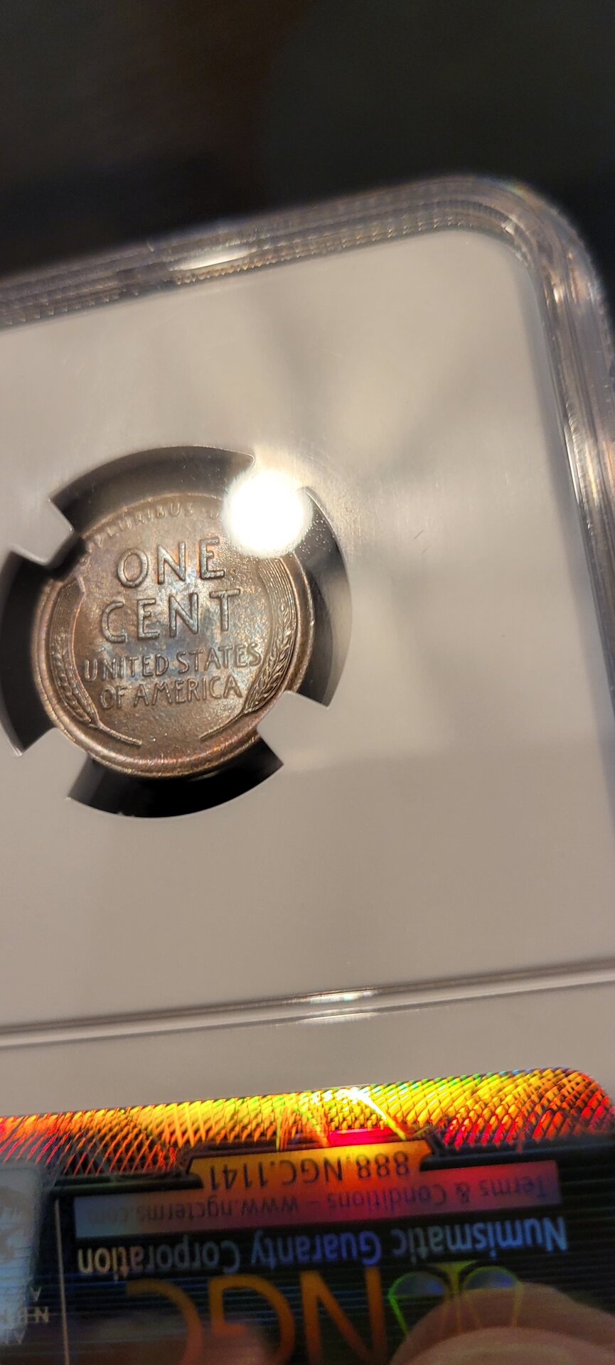 toned 11P.jpg