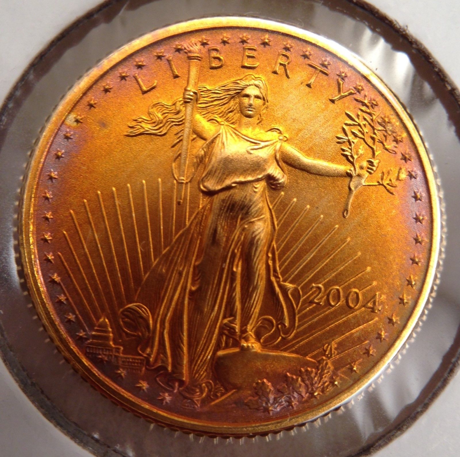 Toned Gold Coin 2004 (2).jpg