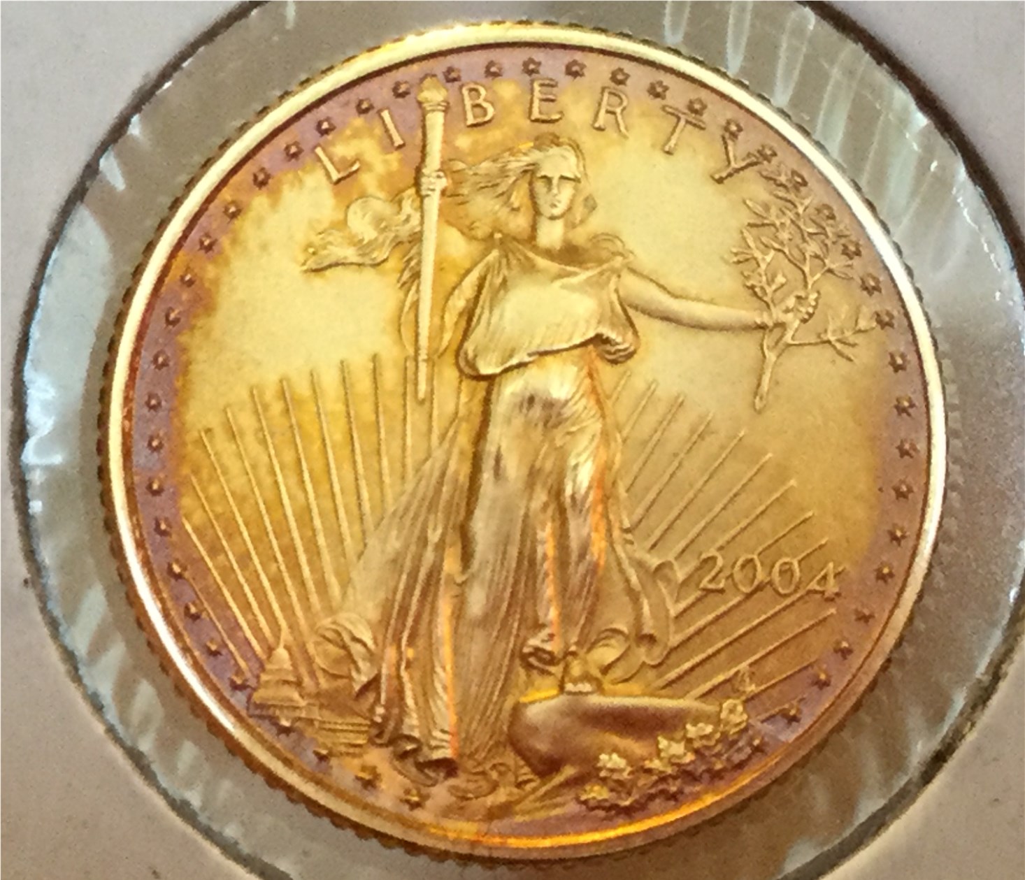 Toned Gold Coin 2004 (2).jpg