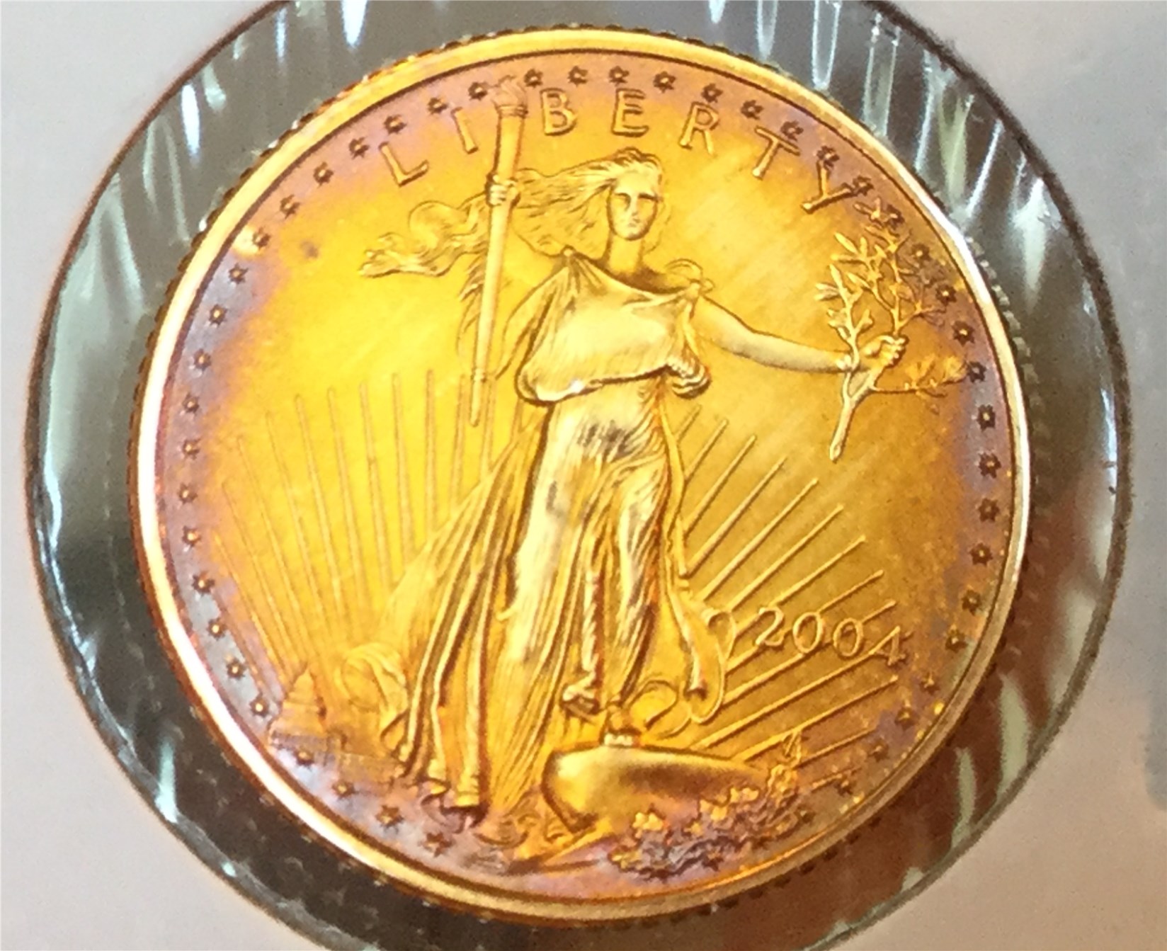 Toned Gold Coin 2004 (3).jpg