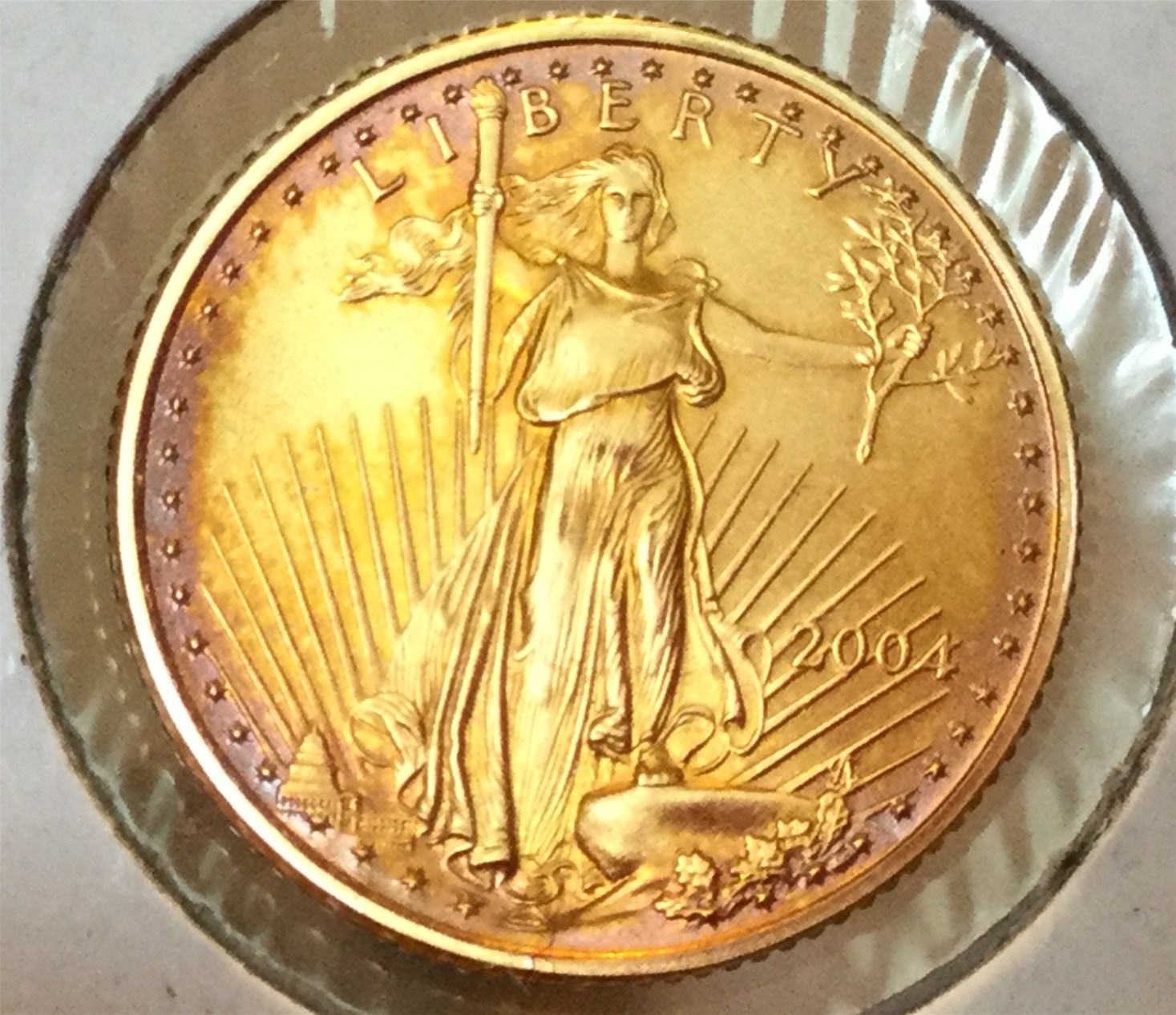 Toned Gold Coin 2004 (3).jpg