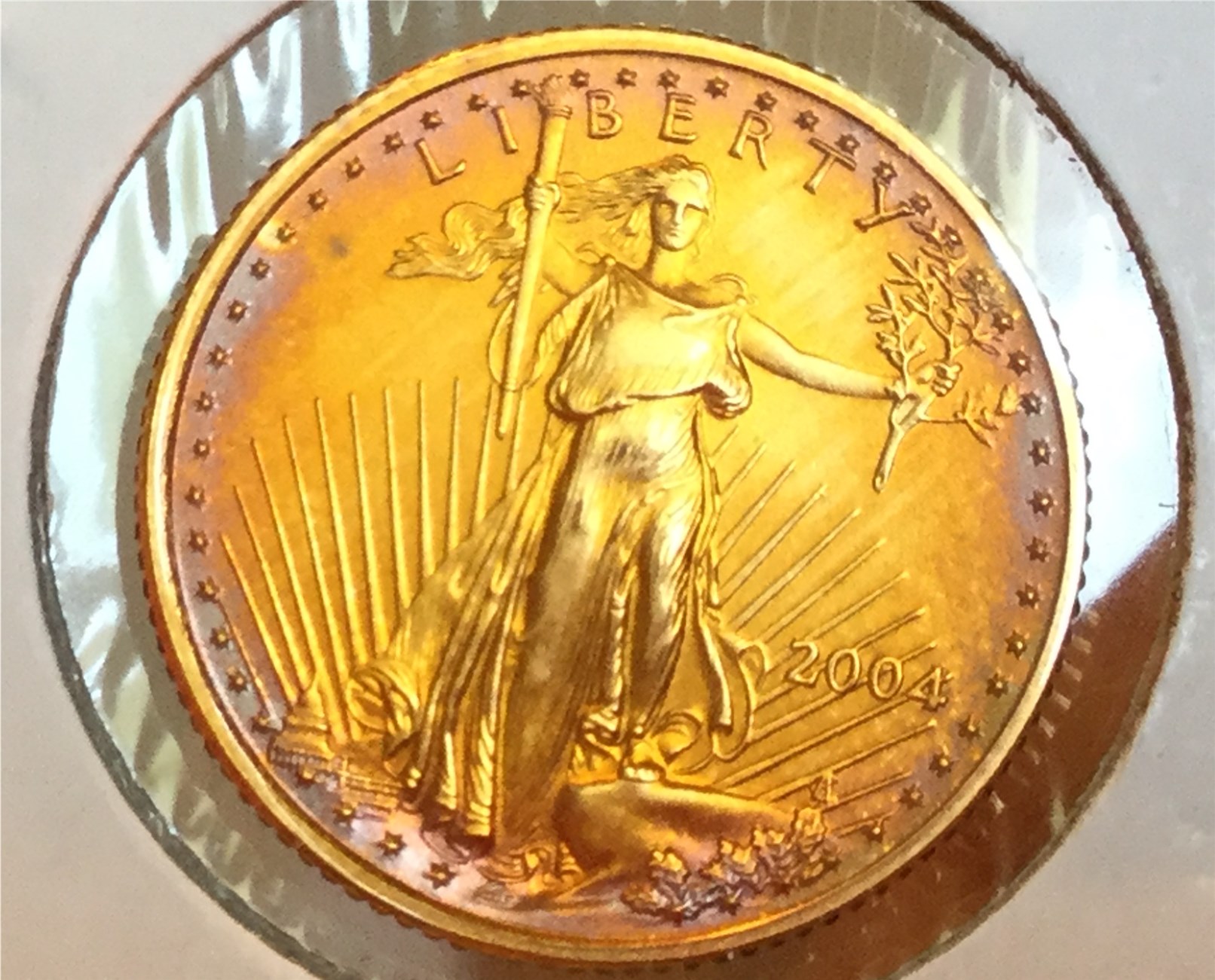 Toned Gold Coin 2004 (4).jpg