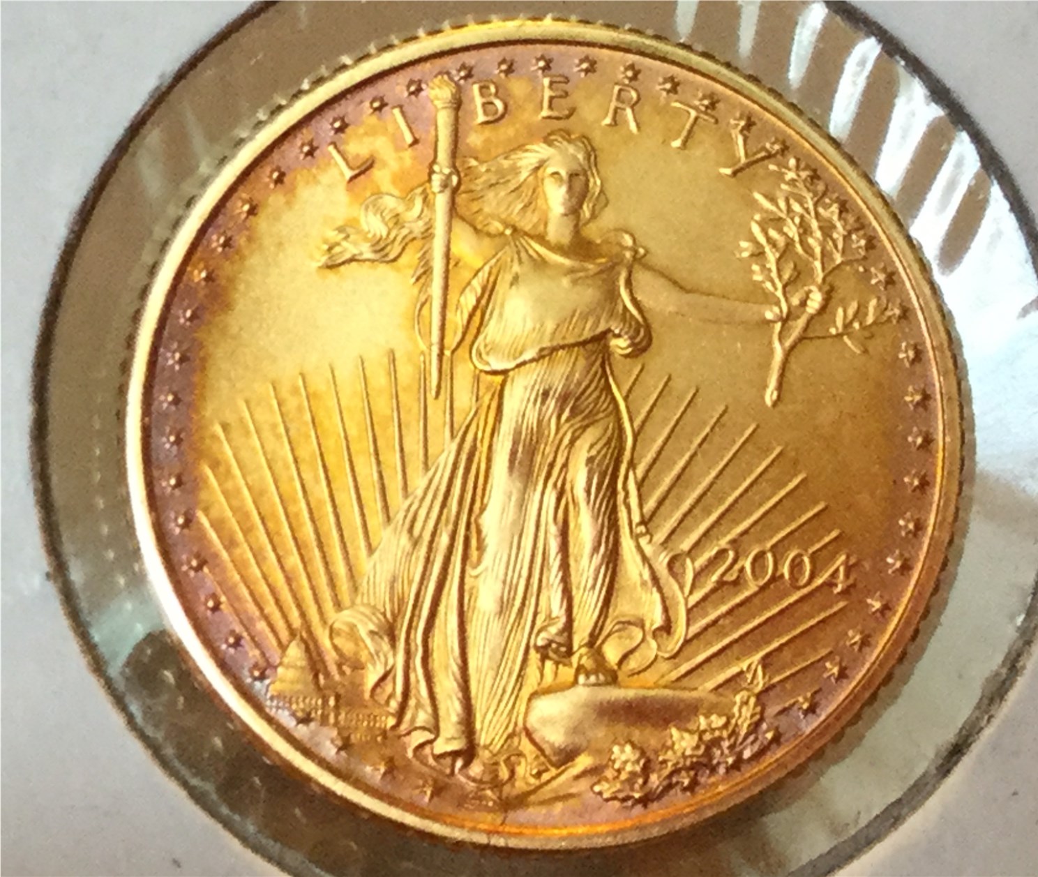 Toned Gold Coin 2004 (4).jpg