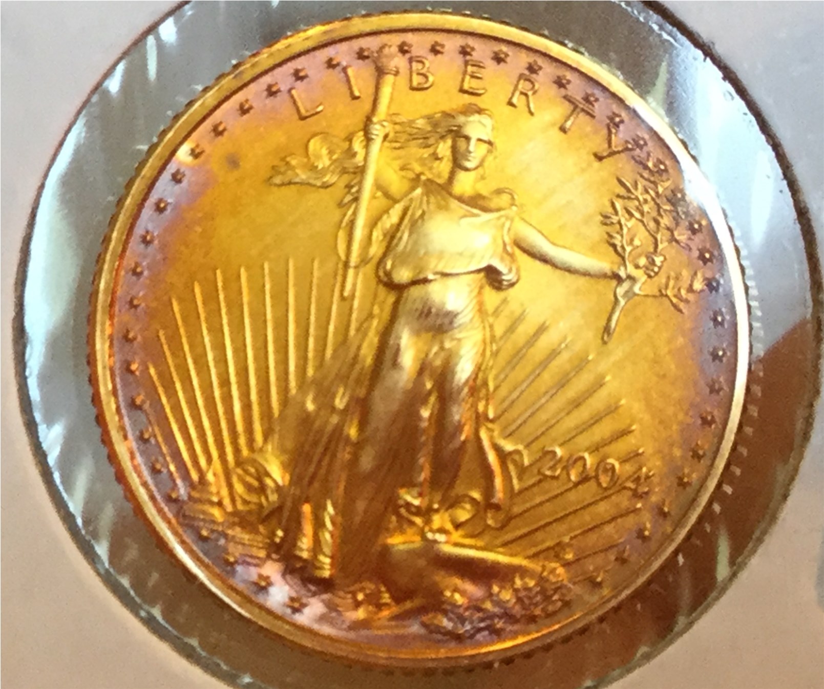 Toned Gold Coin 2004 (5).jpg