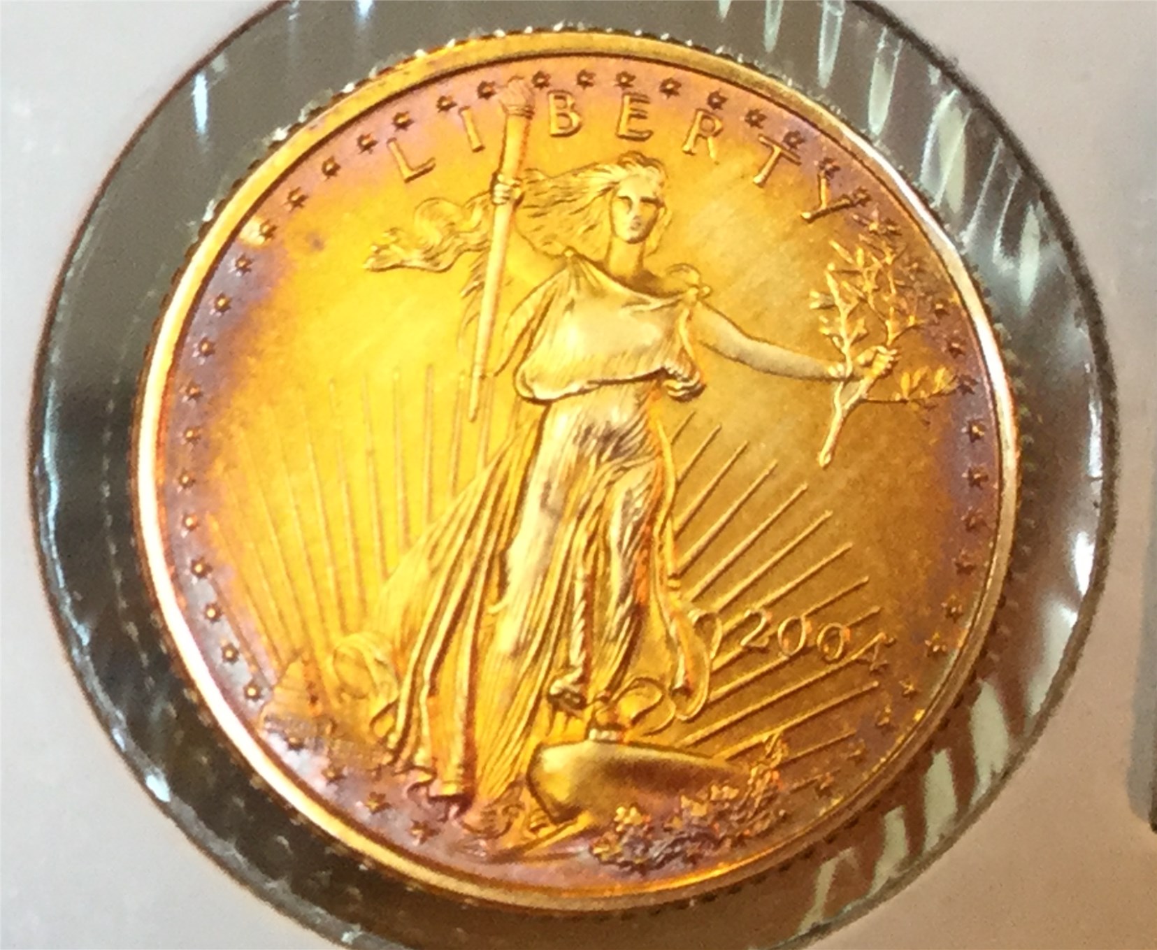 Toned Gold Coin 2004 (6).jpg