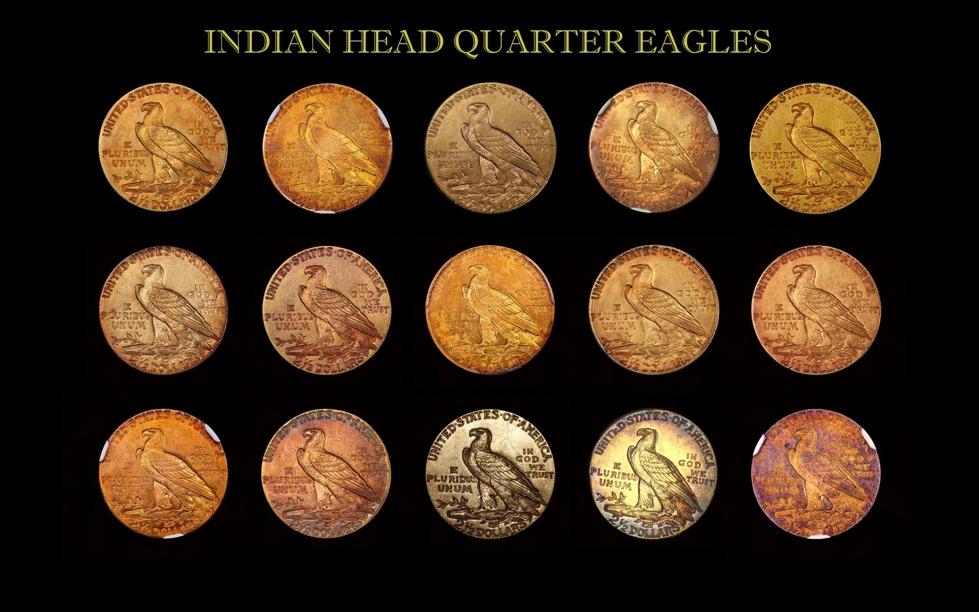 Toned Gold Indian Head Coin Collection Reverse.jpg