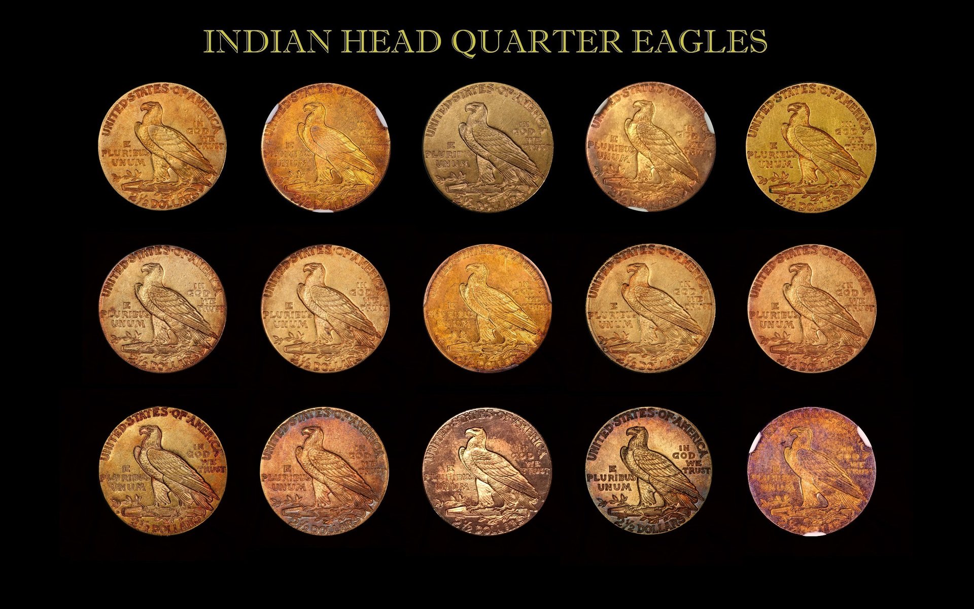 Toned Gold Indian Head Coin Collection Reverse updated 2017108.jpg