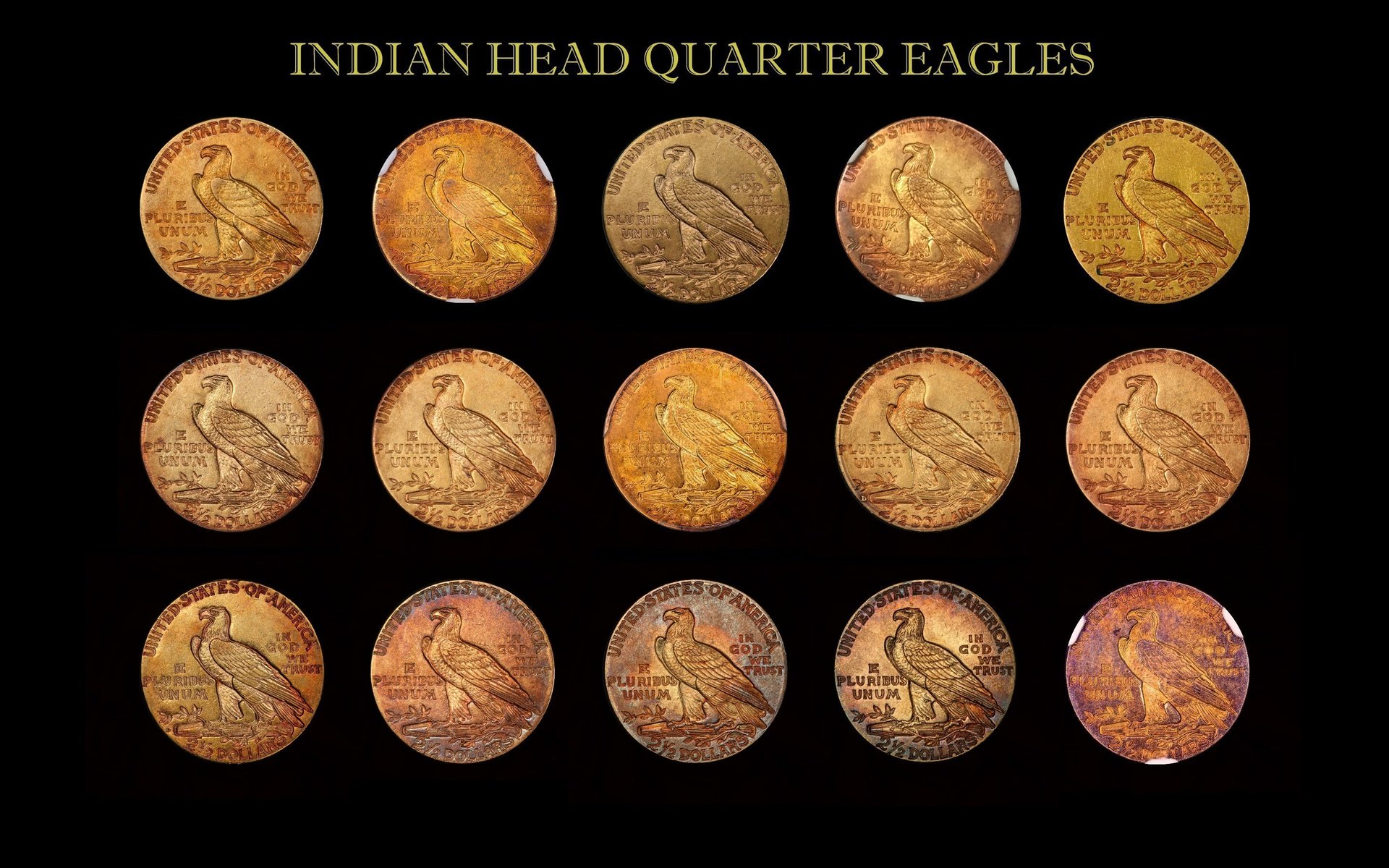Toned Gold Indian Head Coin Collection Reverse updated 2017111.jpg