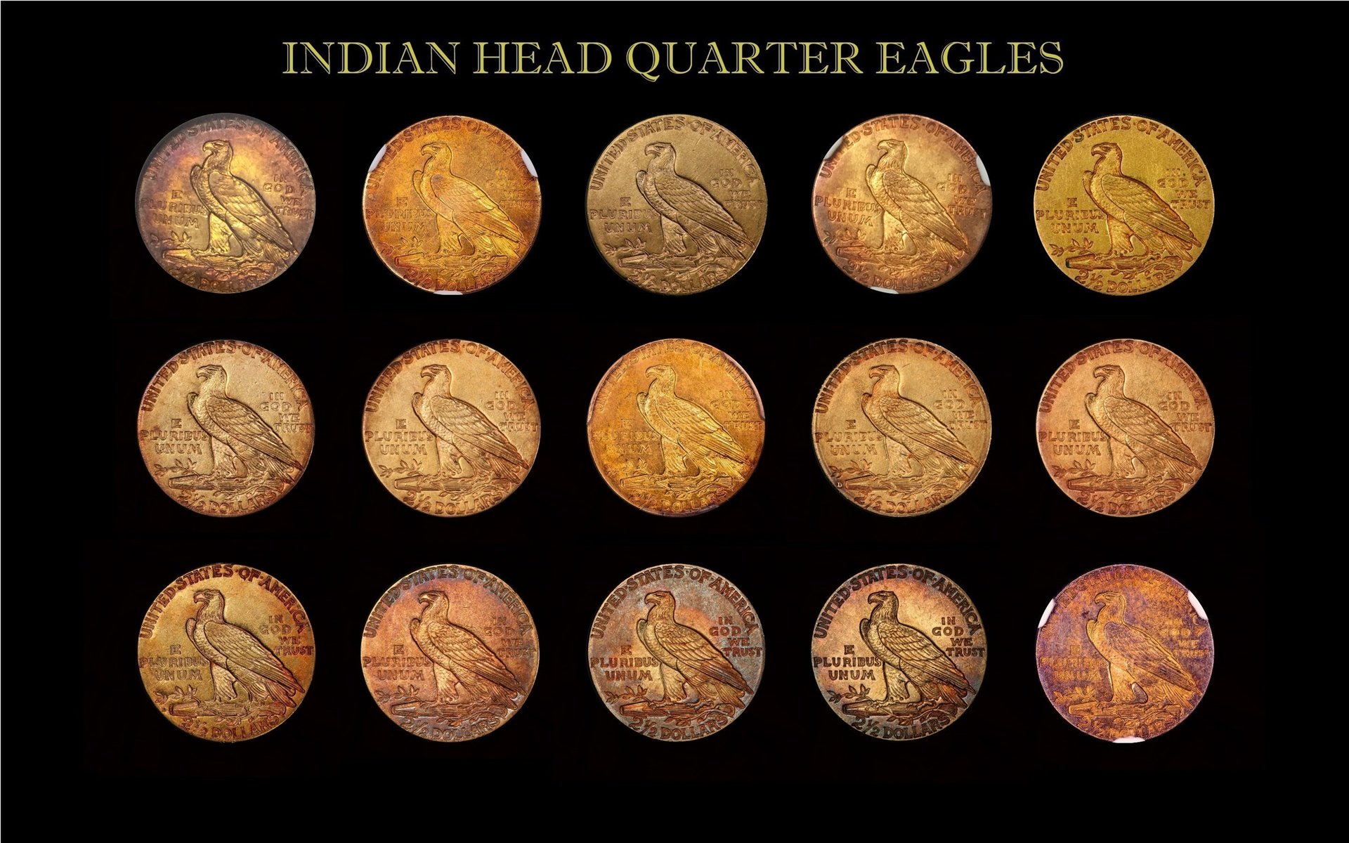 Toned Gold Indian Head Coin Collection Reverse updated 2017127.jpg