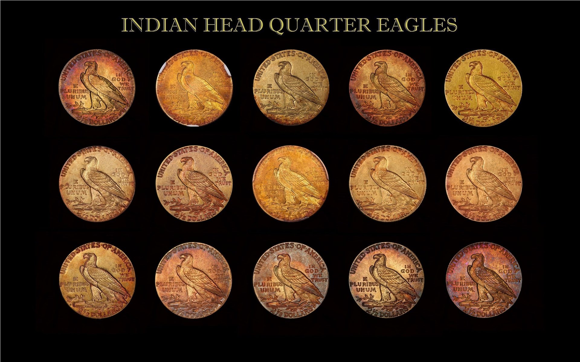 Toned Gold Indian Head Coin Collection Reverse updated 20181108.jpg