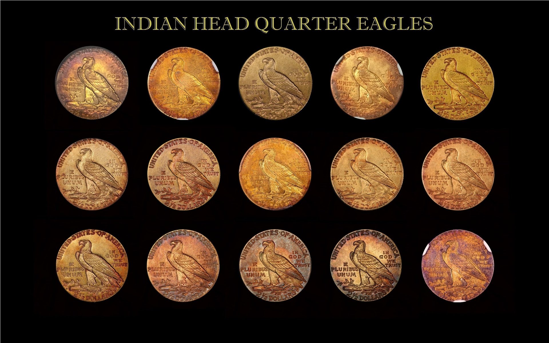 Toned Gold Indian Head Coin Collection Reverse updated 2018314.jpg
