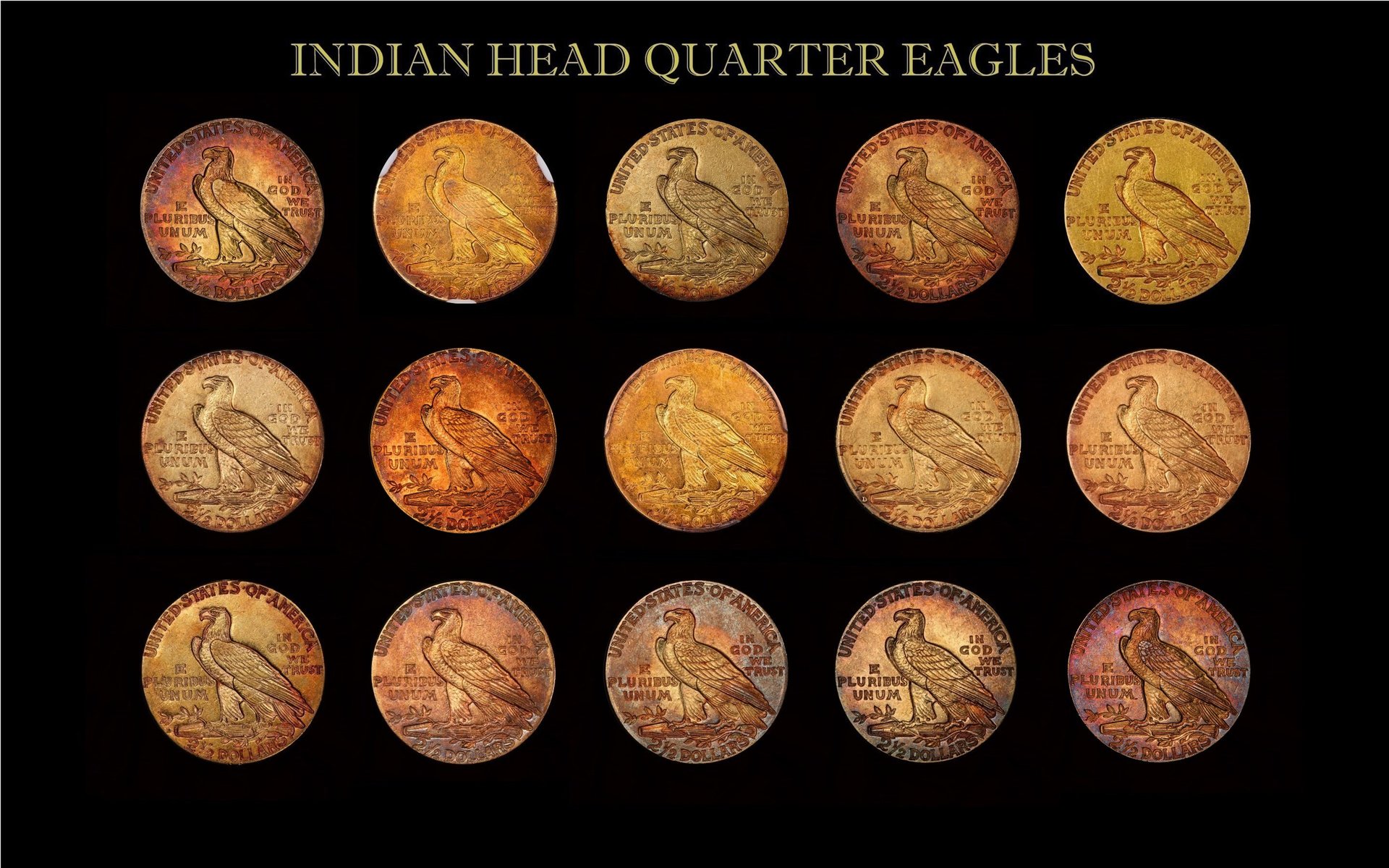 Toned Gold Indian Head Coin Collection Reverse updated 20200607.jpg