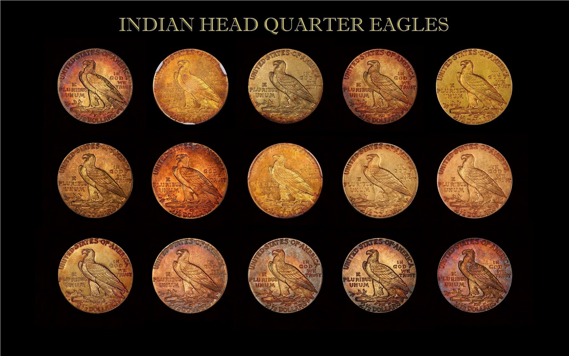 Toned Gold Indian Head Coin Collection Reverse updated 20201002.jpg