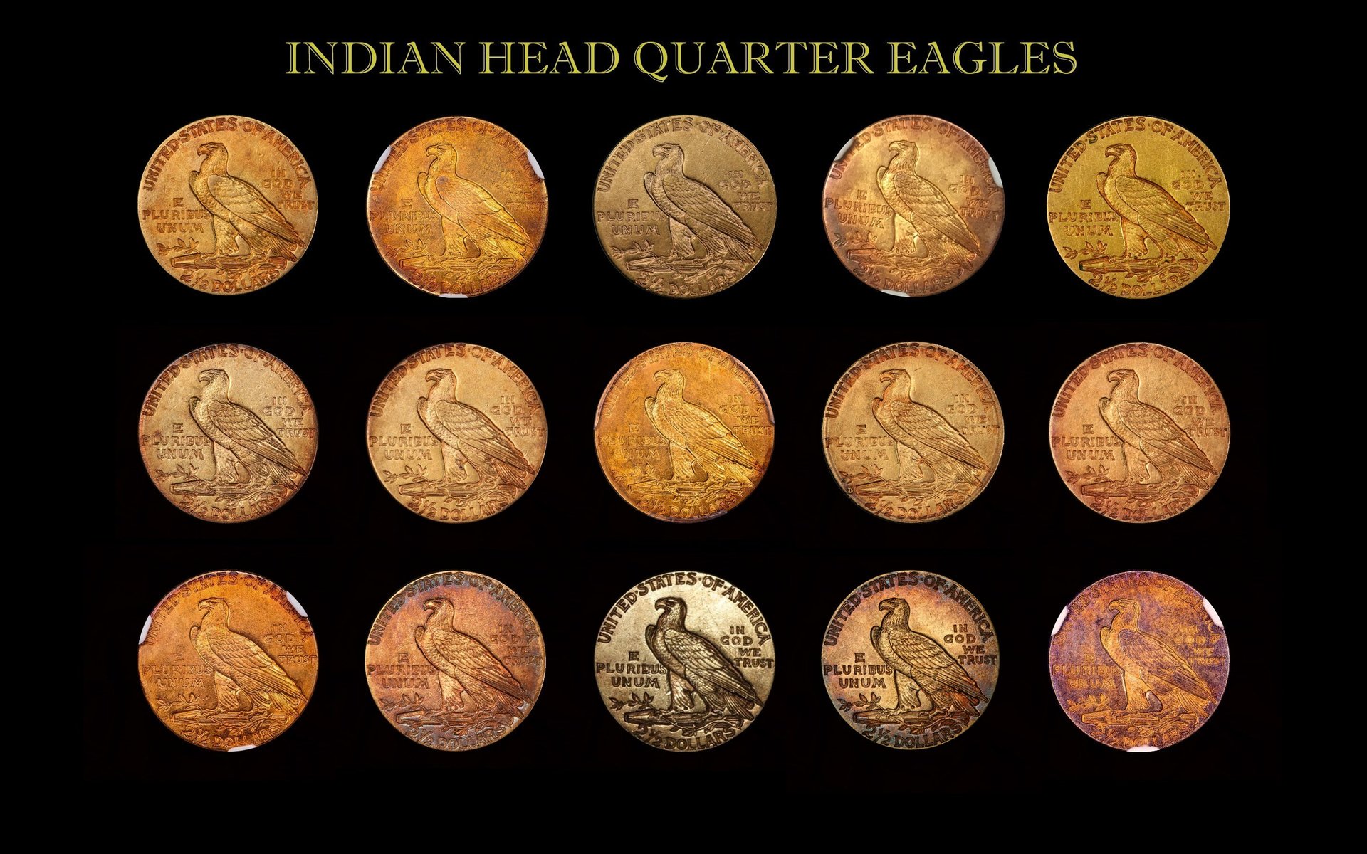 Toned Gold Indian Head Coin Collection Reverse updated.jpg