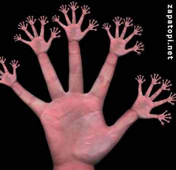 too many fingers.jpg