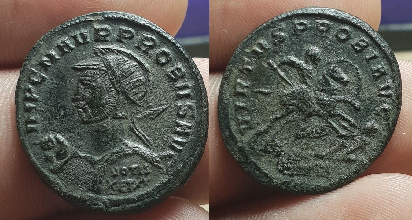 tooled Probus.jpg