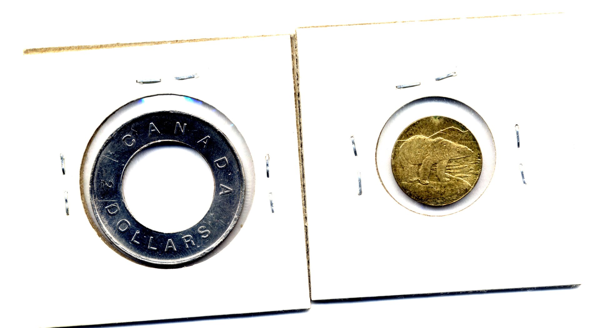 Toonie apart013.jpg