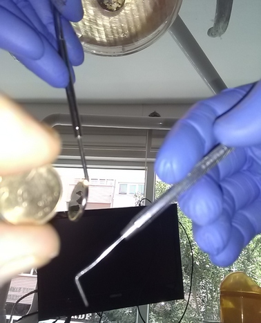 toothcoin.jpg