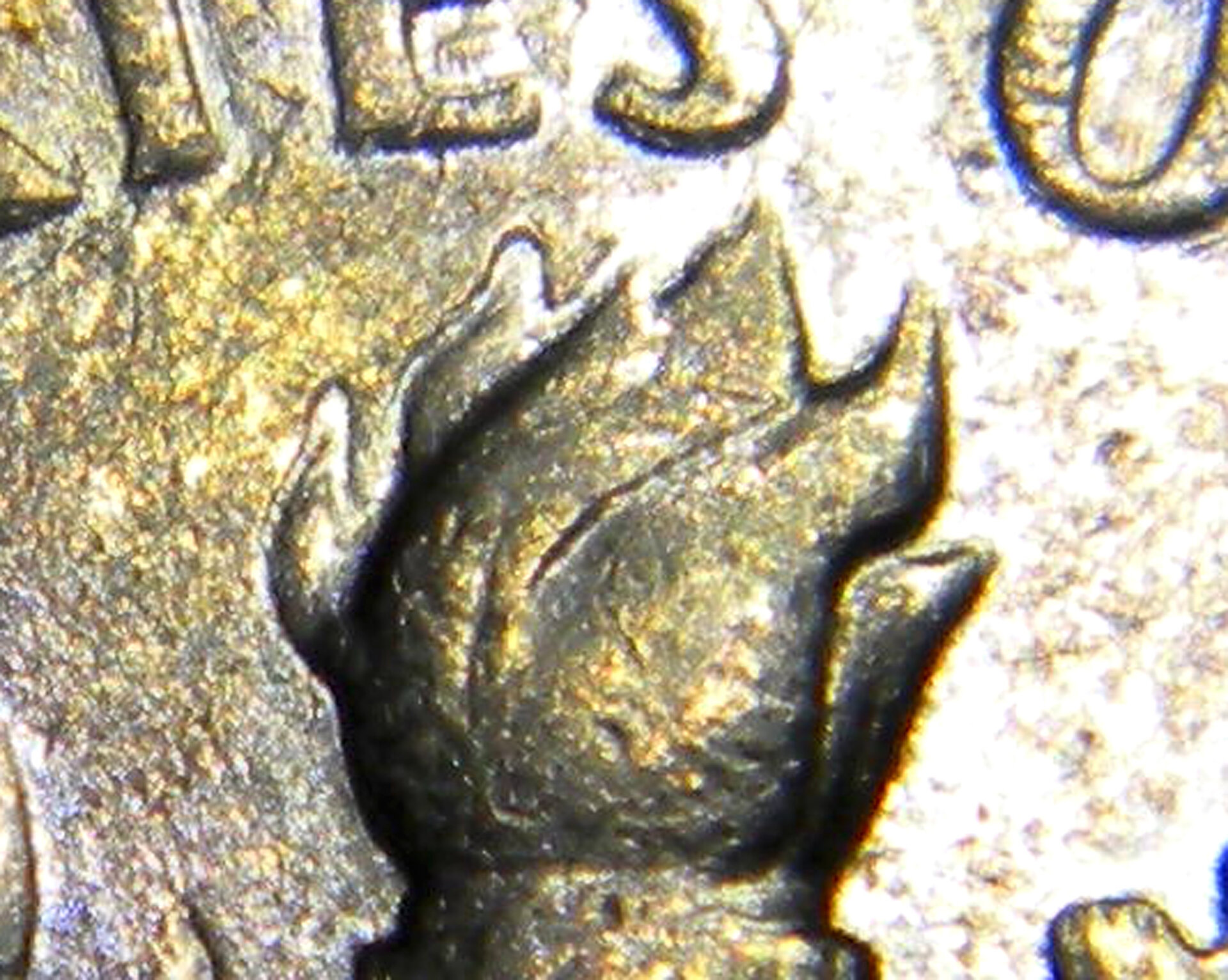 Top Closeup1.jpg